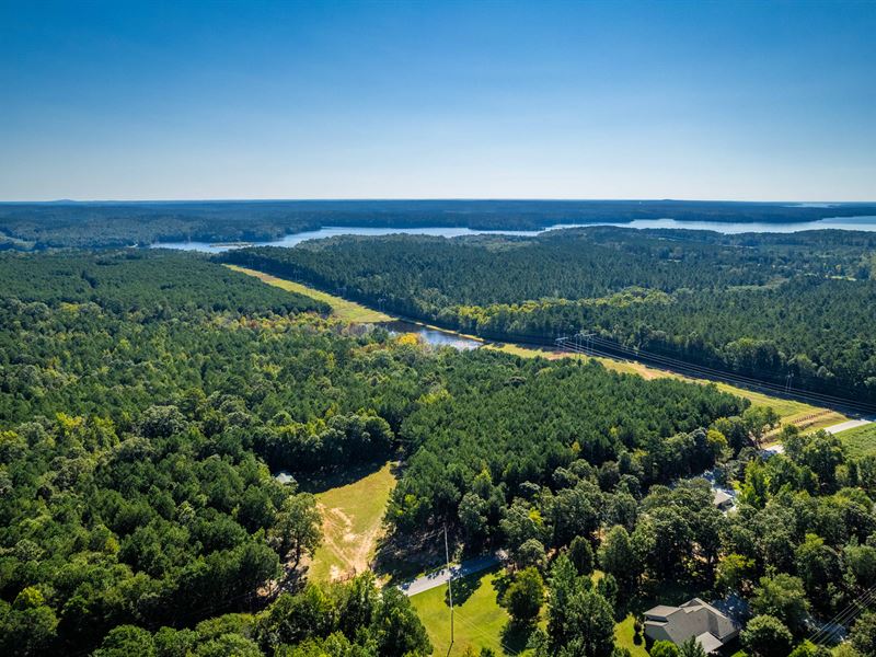 135+ Acres in Elberton : Elberton : Elbert County : Georgia