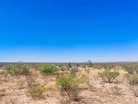 10.4 Acres Near El Paso : Fort Hancock : Hudspeth County : Texas