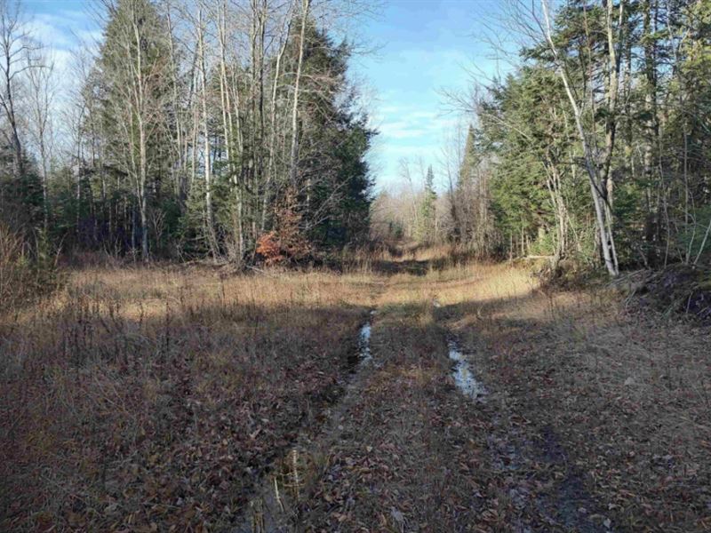 Northwoods Recreation Haven : Deerton : Alger County : Michigan