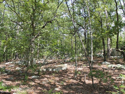 Beautiful Recreational Land $999Dwn : Clayton : Pushmataha County : Oklahoma