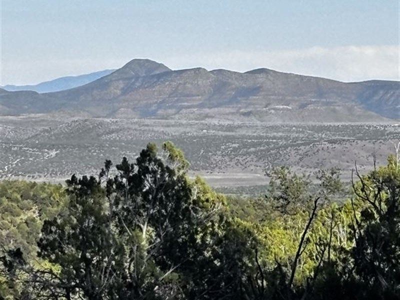 Heavily Treed, Expansive Views : Seligman : Yavapai County : Arizona