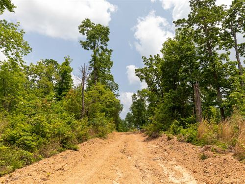 Near Buffalo River, $999 Down : Linden : Perry County : Tennessee