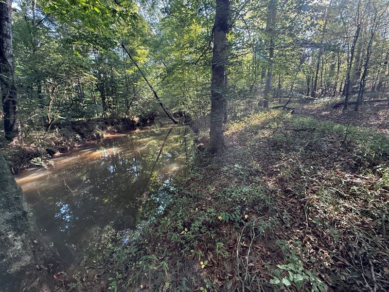 Baker Creek 49 Ac Tract : Goodwater : Coosa County : Alabama