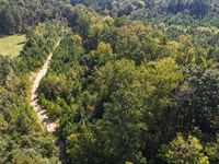 119 Acres, Holtzclaw Hills Tract : Jacksonville : Calhoun County : Alabama