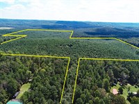 102.88 Acres Wooded : Cedartown : Polk County : Georgia