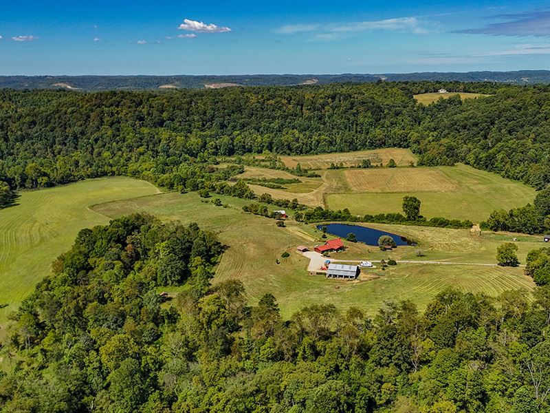 328 Ac Secluded Picturesque Retreat : Minford : Scioto County : Ohio