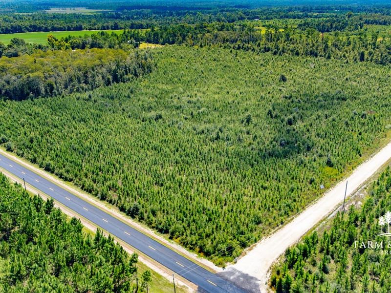 38 Ac Homesite / Development : Blountstown : Calhoun County : Florida