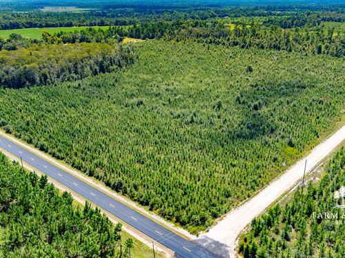38 Ac Homesite / Development : Blountstown : Calhoun County : Florida