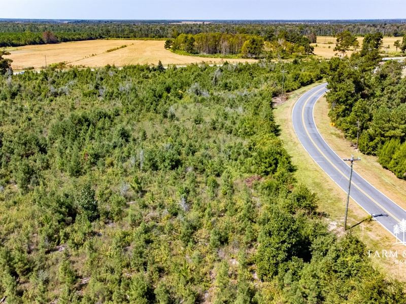 22.6 Ac Homesite Corner Lot Near Bl : Blountstown : Calhoun County : Florida