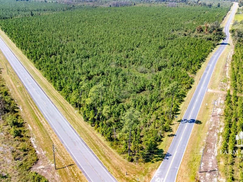 20.5 Ac Corner Lot Homesite on Us-7 : Blountstown : Calhoun County : Florida