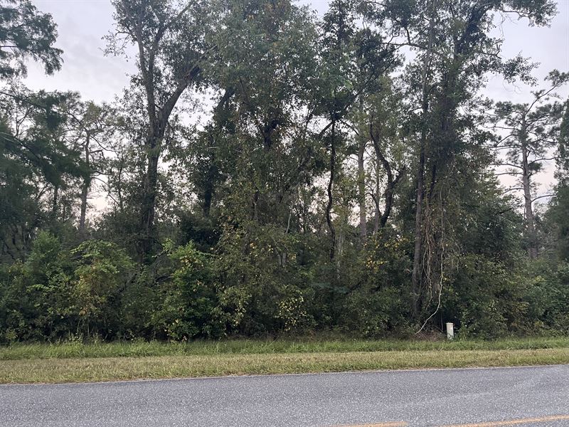 Beautiful 8.75 Acre Property : Jasper : Hamilton County : Florida