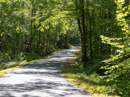 Invest Today, $999 Down : Flatwoods : Perry County : Tennessee