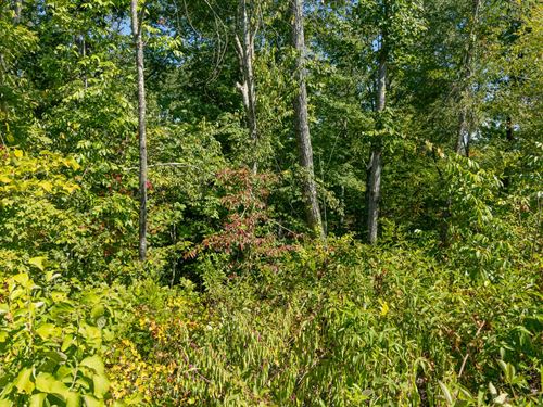 As Low as $499 Down : Flatwoods : Perry County : Tennessee