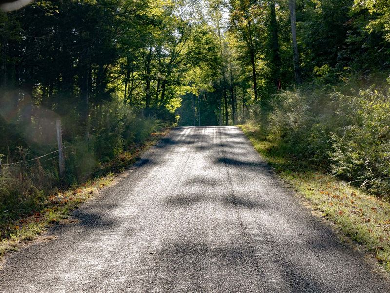 Own Land in Perry County : Flatwoods : Perry County : Tennessee