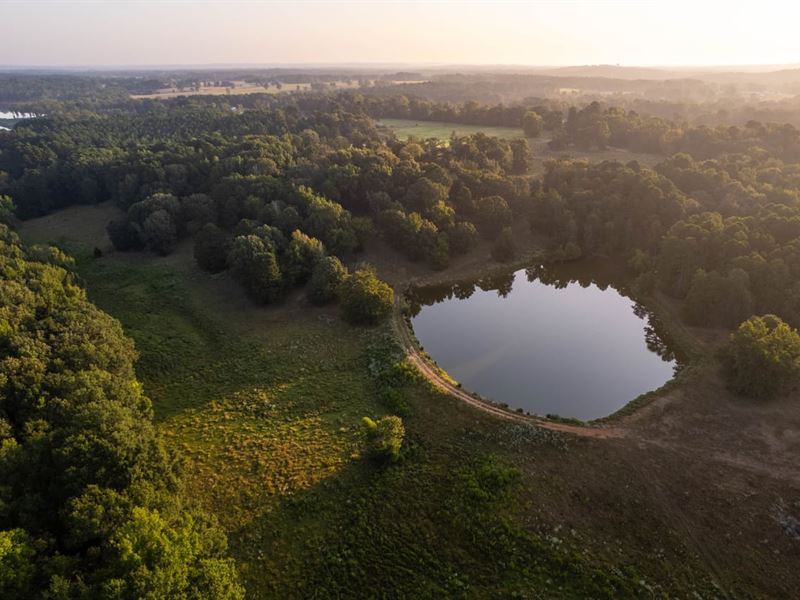 Mont Hall Farm : Hallsville : Harrison County : Texas