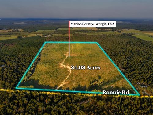 Longleaf Farm Investment & Hunting : Buena Vista : Marion County : Georgia