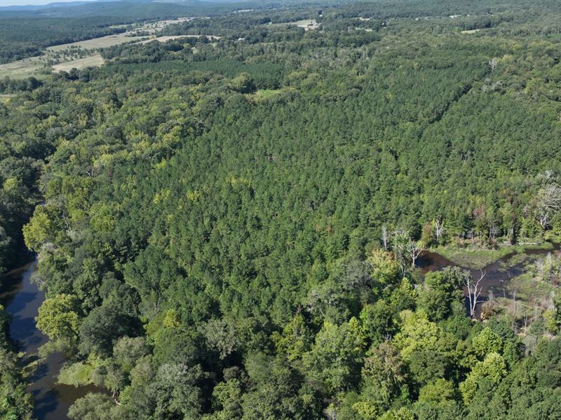 South Fourche Hunting & Timber : Plainview : Perry County : Arkansas