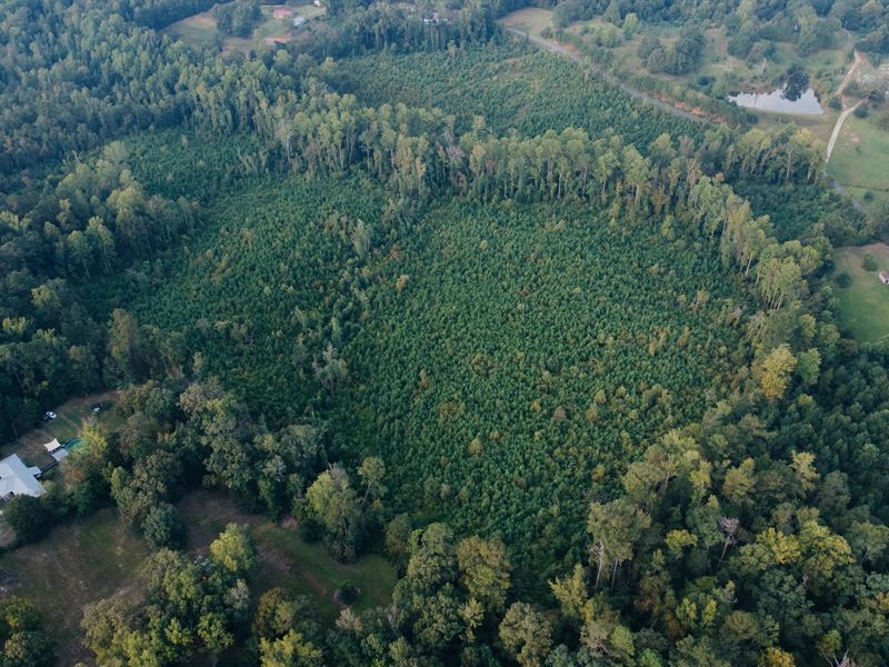 35.5 Acres in Lauderdale County, MS : Meridian : Lauderdale County : Mississippi