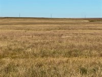 Firstview Colorado Farm, 25049 : Firstview : Cheyenne County : Colorado