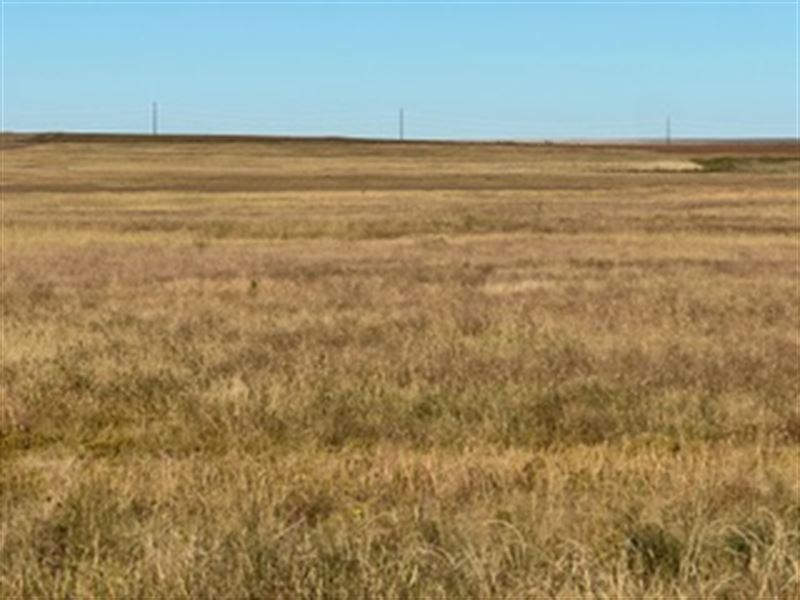 Firstview Colorado Farm, 25049 : Firstview : Cheyenne County : Colorado