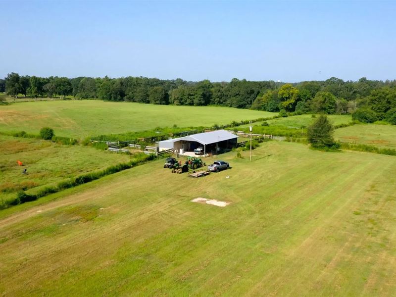 85.5 Acres in Crenshaw County, AL : Brantley : Crenshaw County : Alabama