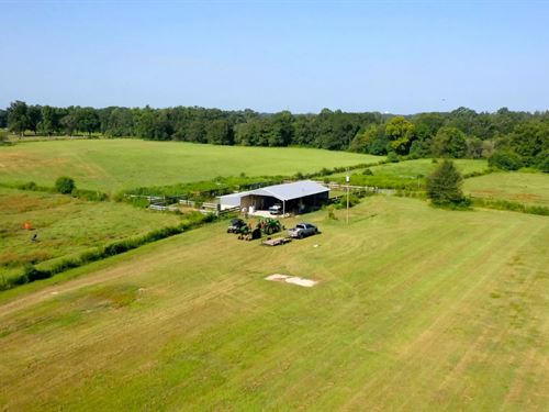 85.5 Acres in Crenshaw County, AL : Brantley : Crenshaw County : Alabama