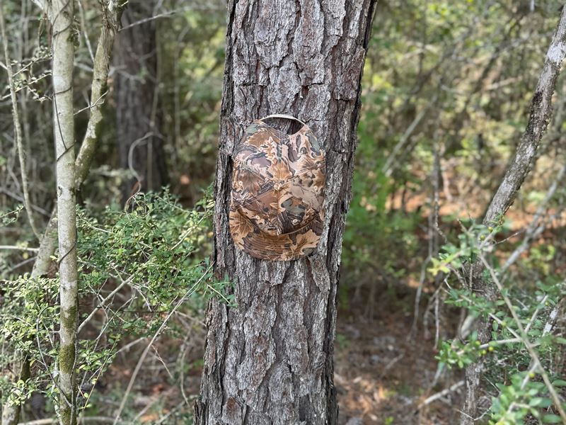 10 Acres Tract 1 in George Count : Lucedale : George County : Mississippi