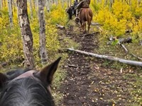 Outfitting Business For Sale Wester : Cedaredge : Delta County : Colorado