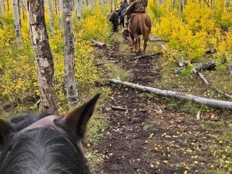 Outfitting Business for Sale Wester : Cedaredge : Delta County : Colorado