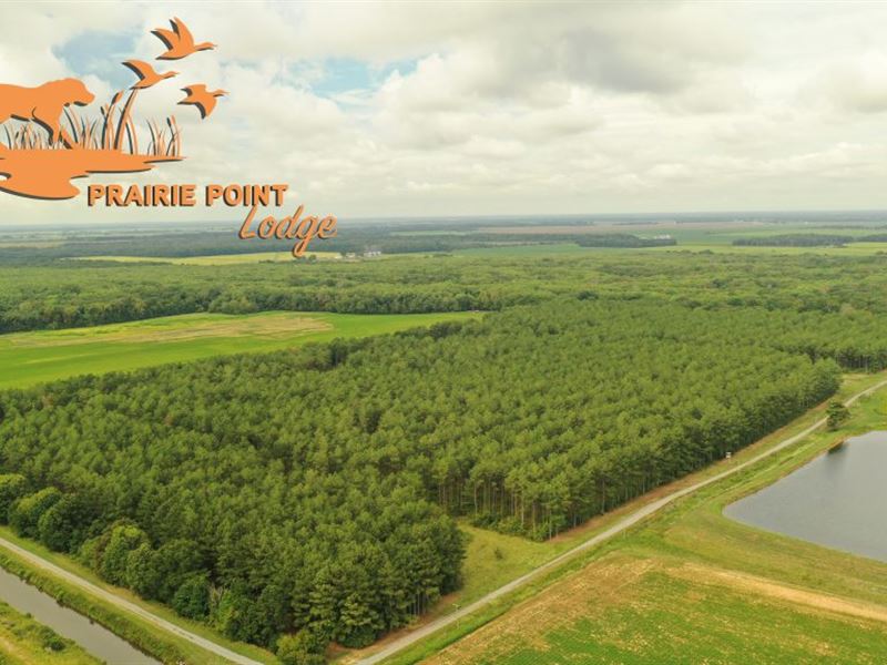 Prairie Point : Carlisle : Prairie County : Arkansas