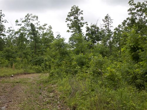 $499 Down Option Available : Birch Tree : Shannon County : Missouri