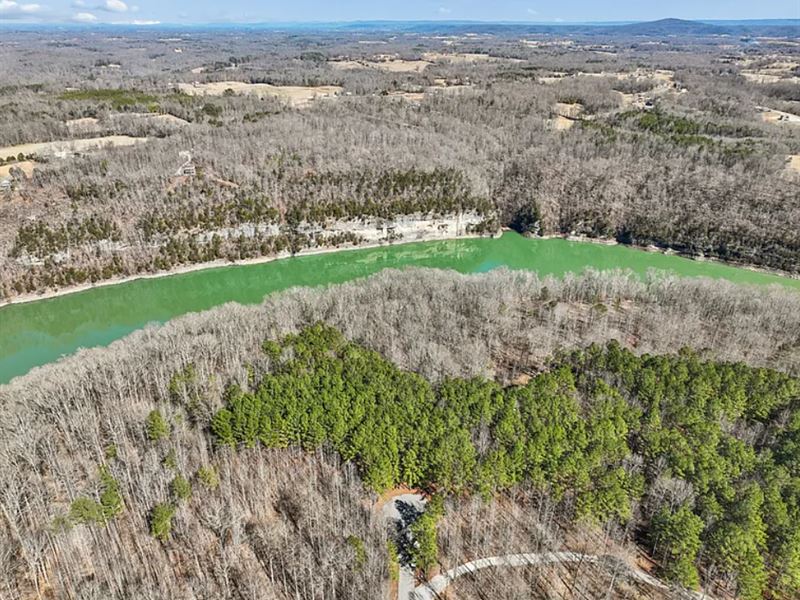 Forested Lot in Dekalb County TN : Smithville : DeKalb County : Tennessee