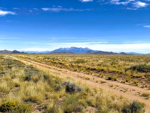 5 Acre Flat Colorado Land Awaits : San Acacio : Costilla County : Colorado