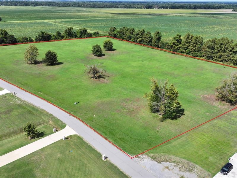 12 Acre Estate or Development : Scott : Lonoke County : Arkansas