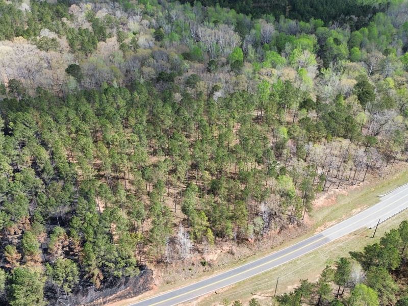 25 Acres Harris Co. Hamilton : Hamilton : Harris County : Georgia