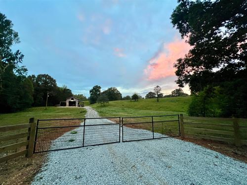 No Name Creek : Florence : Lauderdale County : Alabama