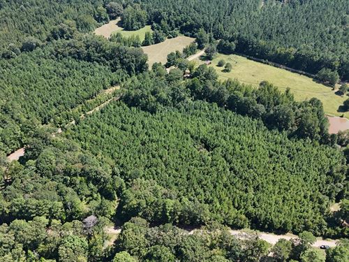 16 Acres Timberland For Sale in Uni : Spearsville : Union Parish : Louisiana