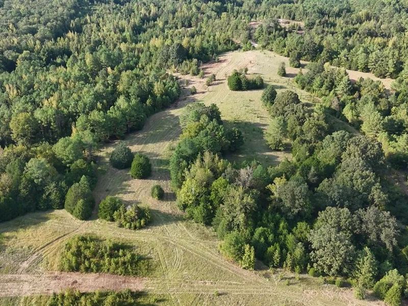 13.5 Acres in Lafayette County, MS : Oxford : Lafayette County : Mississippi