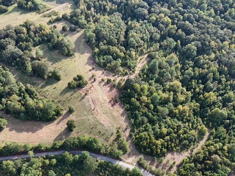 12 Acres in Lafayette County, MS : Oxford : Lafayette County : Mississippi