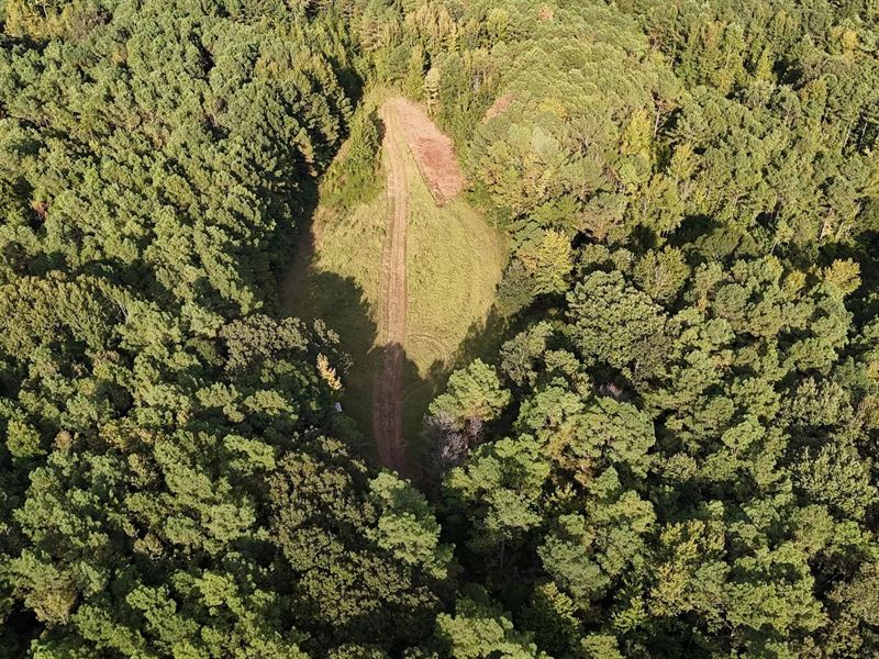 22.5 Acres Tract A in Lafayette : Oxford : Lafayette County : Mississippi