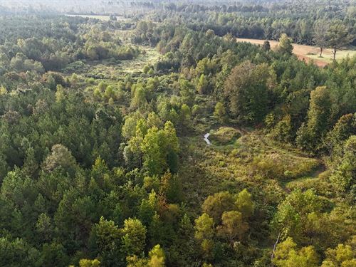 34.2 Acres in Pontotoc County, MS : Thaxton : Pontotoc County : Mississippi