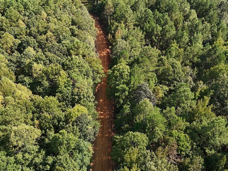 80 Acres CR 454 in Calhoun County : Vardaman : Calhoun County : Mississippi