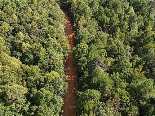 80 Acres CR 454 in Calhoun County : Vardaman : Calhoun County : Mississippi