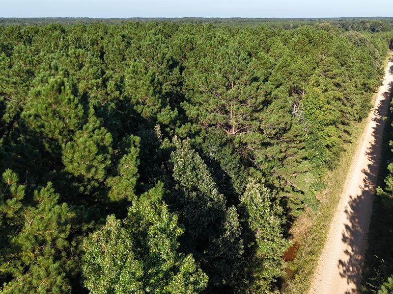 South Arkansas Timber Tract for Sal : Huttig : Union County : Arkansas