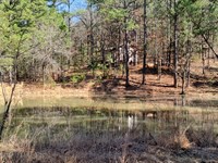 40 Acres Retreat OK : Daisy : Atoka County : Oklahoma
