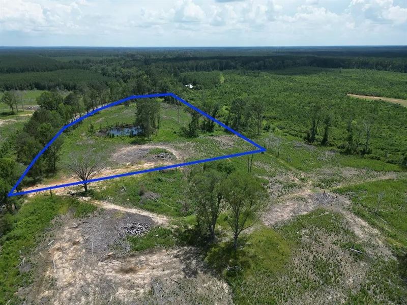 Land for Sale in Amite County, MS : Liberty : Amite County : Mississippi
