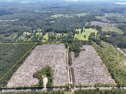 18 Acres, T-4, State Road 3205 : Oakdale : Allen Parish : Louisiana