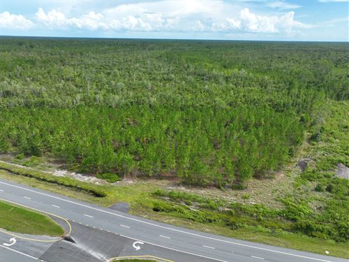 214 Ac Hwy 84 Willow Creek Tract : Homerville : Clinch County : Georgia