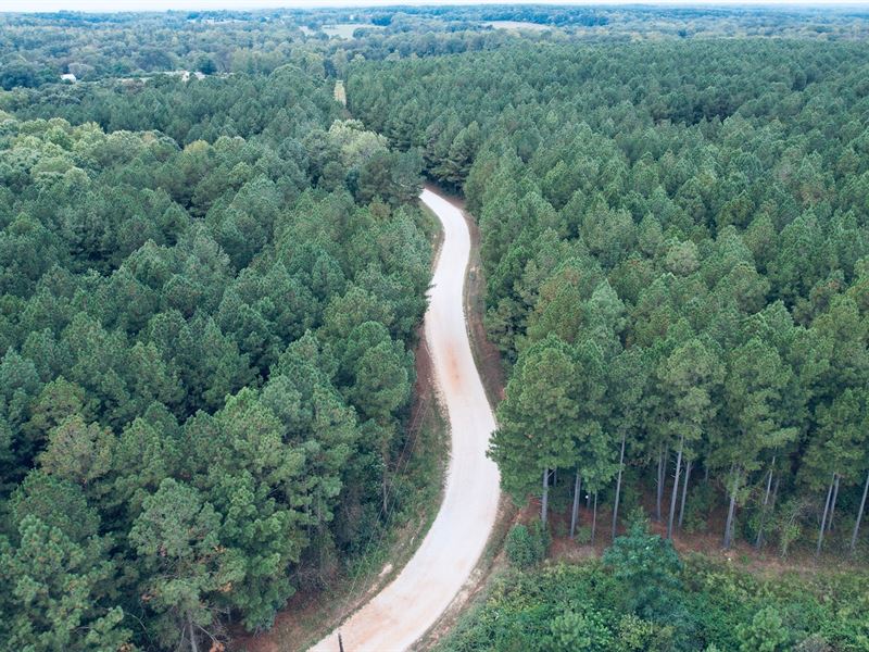 16 Acres, Elbert County, Georgi : Dewy Rose : Elbert County : Georgia