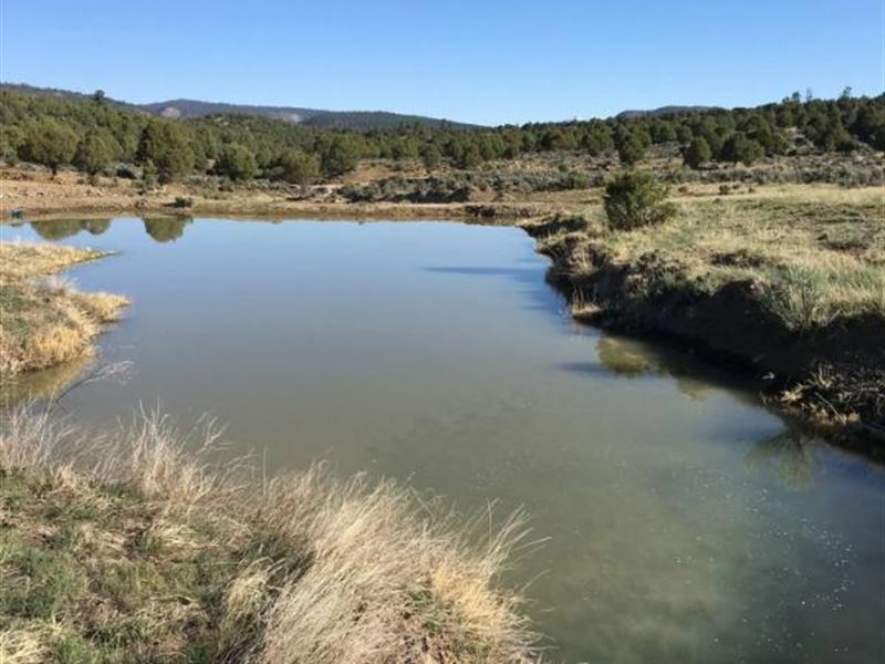 Gorgeous 6-Acre Costilla County : San Luis : Costilla County : Colorado